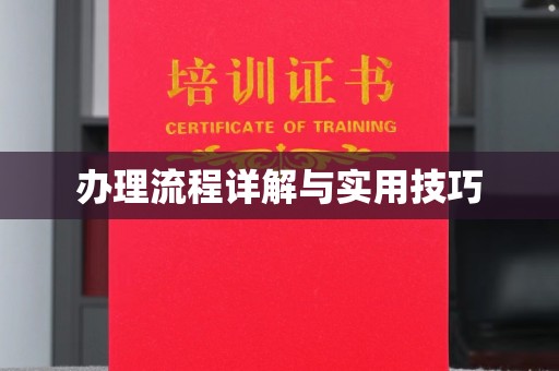 山海关办理流程详解与实用技巧