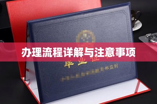 山海关办理流程详解与注意事项
